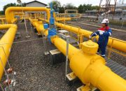 PGN Terima Pasokan Gas Tambahan dari West Natuna Atasi Kelangkaan Industri