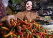 Harga Cabai Kediri Anjlok Akibat Pasokan Meningkat, Petani Merugi?