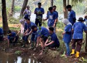 Pertamina: CSR Eco Tourism Village, Konservasi Tukik dan Mangrove Kili-Kili.