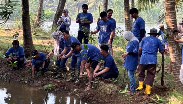 Pertamina: CSR Eco Tourism Village, Konservasi Tukik dan Mangrove Kili-Kili.