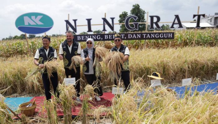 Syngenta Luncurkan Benih Padi Hibrida Ningrat NK2133 Dukung Swasembada Beras