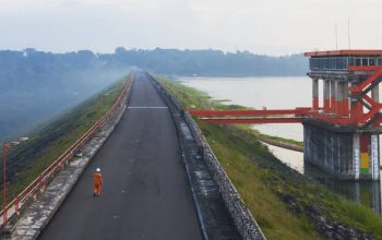 PLN Nusantara Power Raih Gold Stevie Award Lewat Inovasi Hydrobot