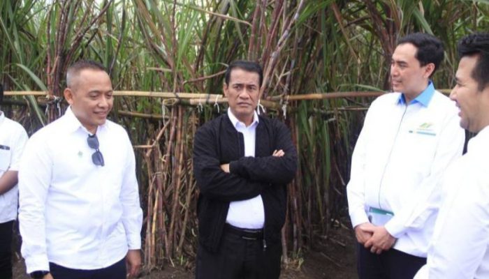 Danantara Investasikan Rp1,5 Triliun Untuk Pembelian Gula Pasir Petani yang Belum Laku di Gudang Pabrik Gula