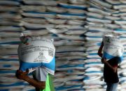 Stok Pupuk Subsidi Aman hingga Akhir 2025, Pemerintah Optimistis Swasembada Beras