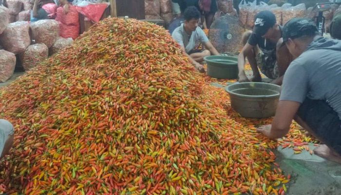 Harga Cabai Rawit di Kediri Kembali Melonjak, Pasokan Mulai Menipis