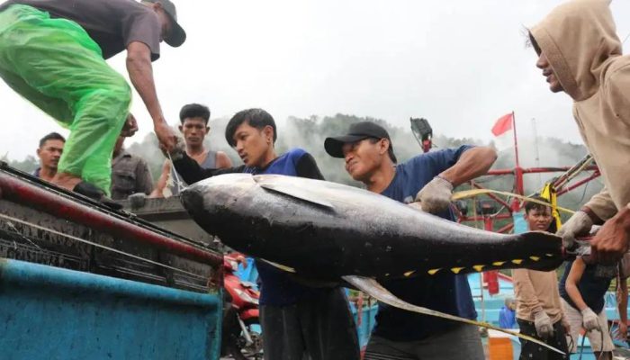 KKP Perkuat Fasilitas Perikanan Tangkap di Indonesia Timur