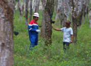 PGN: Bisnis Bertanggung Jawab, Tumbuh Berkelanjutan untuk Masyarakat dan Lingkungan
