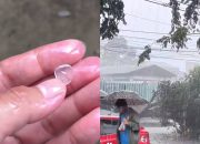 Jember Diterpa Hujan Es dan Angin Kencang, BPBD Laporkan Tujuh Titik Pohon Tumbang