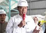 Perkuat Ketahanan Pangan, Dirut Bulog Usulkan Transformasi Menjadi Lembaga Khusus atau Kementerian