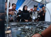 Atasi Hambatan Ekspor AS, Ratusan Pelaku Industri Udang Gelar Shrimp Fair 2025 di Banyuwangi