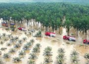 Biaya Pemulihan Pascabencana di Sumatra Diperkirakan Capai Rp51,82 Triliun