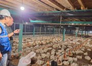 Tarif Listrik Triwulan I 2026 Tidak Naik