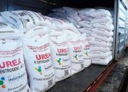 Dukung Produktivitas Petani, Kementan Alokasikan 9,55 Juta Ton Pupuk Subsidi