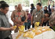 Mendag Pastikan Stok dan Harga Minyak Goreng Terkendali Jelang Ramadan