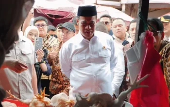 Sidak Mentan di Pasar Kebayoran, Harga Ayam Turun Rp15 Ribu