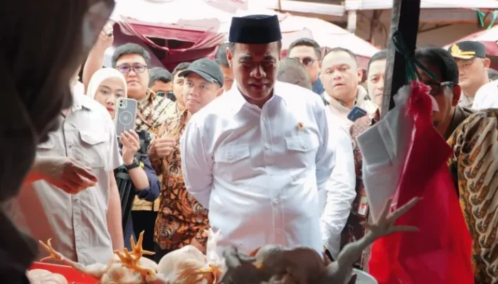 Sidak Mentan di Pasar Kebayoran, Harga Ayam Turun Rp15 Ribu