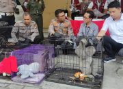 Polisi Bongkar Perdagangan Satwa Dilindungi, Diduga Terhubung Jaringan Internasional