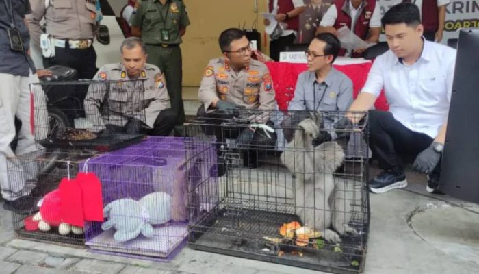 Polisi Bongkar Perdagangan Satwa Dilindungi, Diduga Terhubung Jaringan Internasional