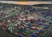 Awal Tahun Agresif, Arus Petikemas Terminal Teluk Lamong Tumbuh 8,27%