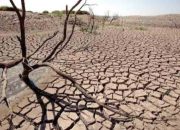 BMKG Prediksi Kemarau 2026 Lebih Cepat, Simak Jadwalnya