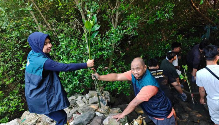 TPS Salurkan 3.000 Bibit Mangrove untuk Penghijauan Pesisir Sontoh Laut