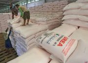 Ekspor Pupuk Urea RI ke Australia Berpotensi Capai Rp7 Triliun