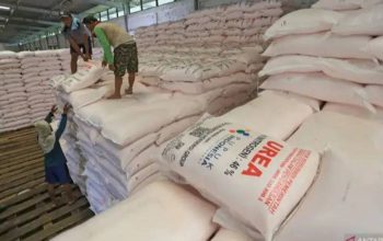 Ekspor Pupuk Urea RI ke Australia Berpotensi Capai Rp7 Triliun