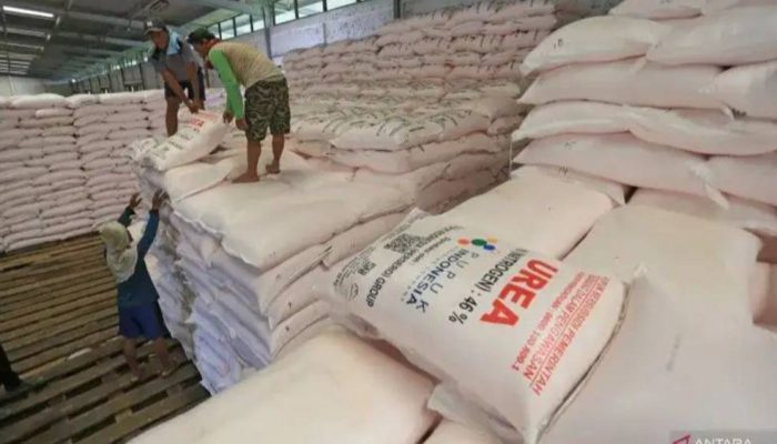Ekspor Pupuk Urea RI ke Australia Berpotensi Capai Rp7 Triliun