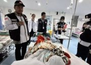 Jelang Keberangkatan Haji, BPJS Kesehatan Minta Jemaah Aktifkan JKN
