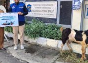 PT TPS dan LMI Distribusikan 2.000 Paket Daging Kurban di Momen Idul Adha