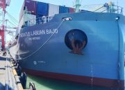 Sukses Pangkas Waktu Sandar Kapal, Program EAZI Dongkrak Produktivitas TPK Nilam hingga 21 Persen