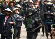 Ritual Kebo-keboan Alasmalang Banyuwangi Sedot Ribuan Pengunjung