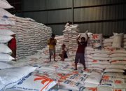 Stok Tembus 129 Ribu Ton, Banyuwangi Surplus Beras dan Pasok Kebutuhan Papua hingga Bali