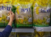Hadapi Ancaman Kekeringan, Pemerintah Percepat Distribusi Beras SPHP ke Masyarakat