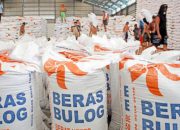 Tembus 3,5 Juta Ton, Pengadaan Beras BULOG Hampir Capai Target Nasional 2026