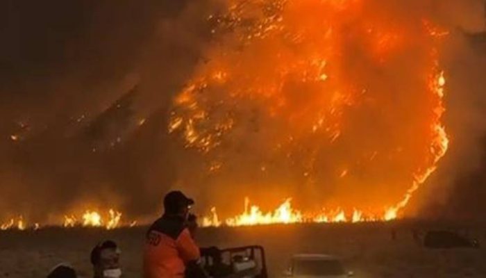Api Terus Meluas, Wisata Gunung Bromo Ditutup Mulai Sabtu Malam