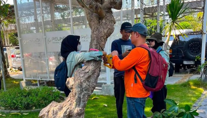 TTL dan BRIN Kolaborasi Riset Ekologis, Perkuat Biodiversitas Pesisir