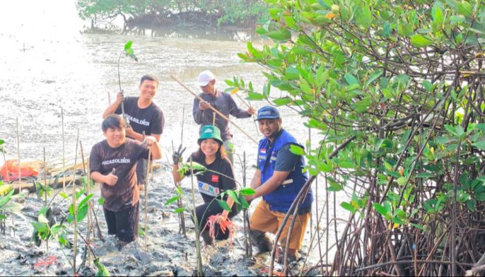 Sepanjang 2026, TPS Salurkan 10.000 Bibit Mangrove untuk Rehabilitasi Pesisir