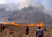 Resmi! Bromo Buka Kembali 20 Agustus, Menhut Cemas Risiko Kebakaran Berulang