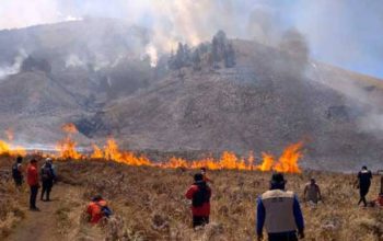Resmi! Bromo Buka Kembali 20 Agustus, Menhut Cemas Risiko Kebakaran Berulang