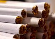 Aturan Kemasan Polos Rokok Masih Digodok, Pemerintah Pertimbangkan Dampak Ekonomi