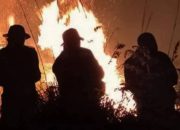 Waspada Karhutla, 4 Kecamatan Banyuwangi Masuk Zona Merah