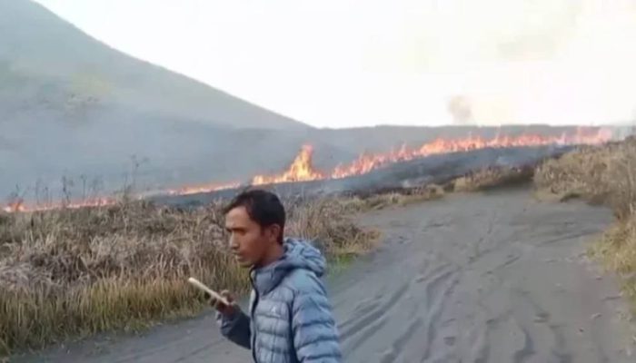 Kebakaran Kembali Melanda Bukit Teletubbies TNBTS, Api Membesar Saat Musim Kemarau