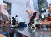 Jaga Status Zero Rabies, Banyuwangi Vaksinasi Gratis 315 Kucing dan Anjing