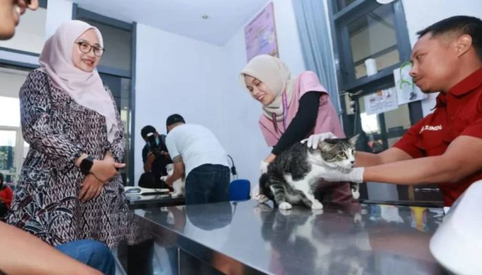 Jaga Status Zero Rabies, Banyuwangi Vaksinasi Gratis 315 Kucing dan Anjing