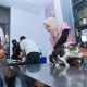 Jaga Status Zero Rabies, Banyuwangi Vaksinasi Gratis 315 Kucing dan Anjing