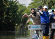 350 Peserta Bersihkan Kali Tebu Surabaya, 3,12 Ton Sampah Diangkut