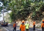 Jelang Musim Hujan, BPBD Jember Tangani Retakan Jalan di Jalur Jember-Banyuwangi