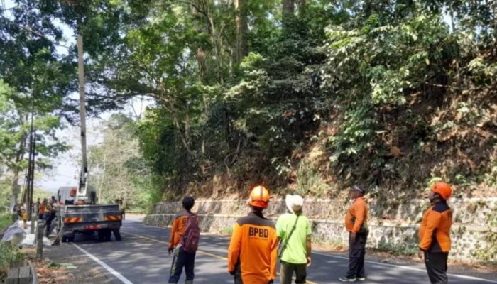 Jelang Musim Hujan, BPBD Jember Tangani Retakan Jalan di Jalur Jember-Banyuwangi